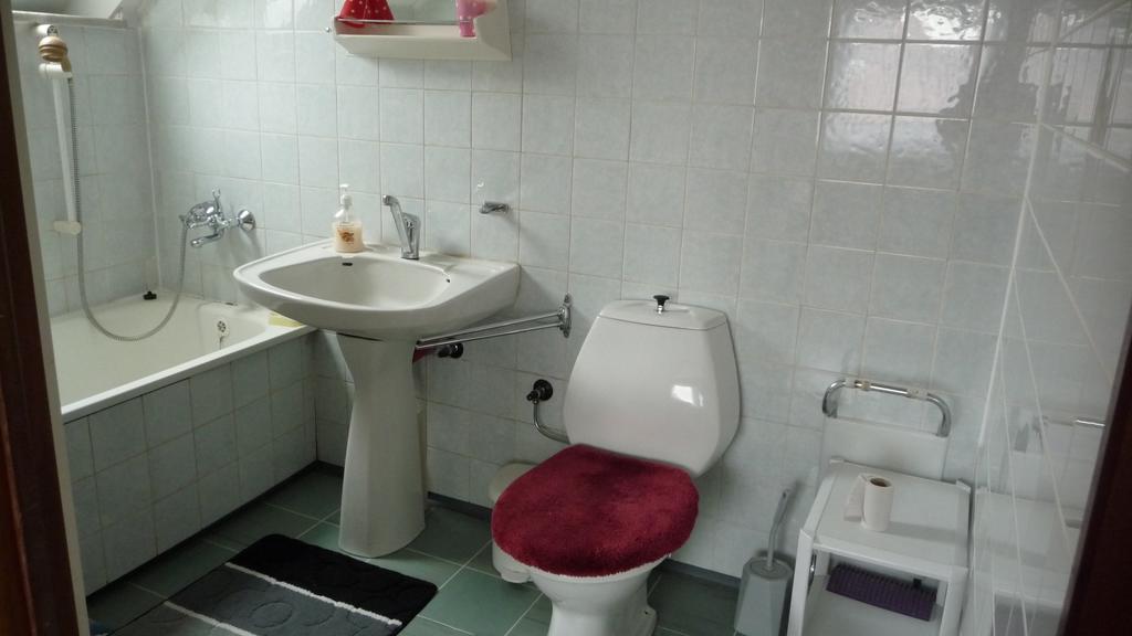Apartman U Hanicky Bela pod Pradedem Luaran gambar